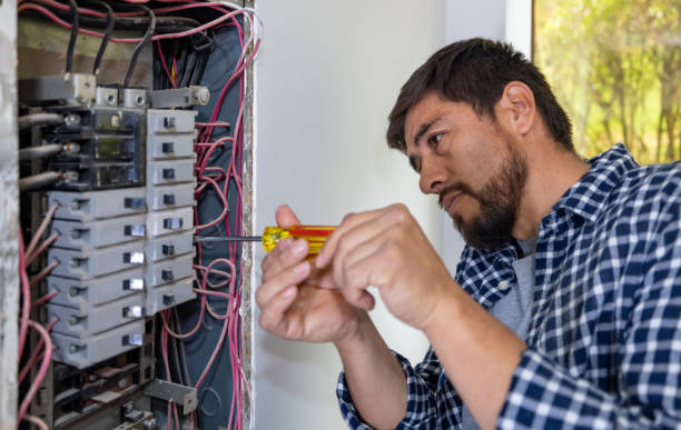 Best Electrical Panel Upgrades  in La Grange, IL